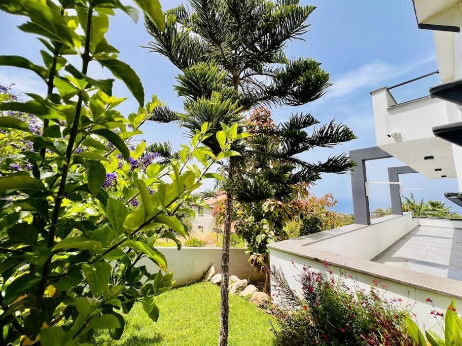 Karmi'De Rueya Gibi Tatil Villa ไคริเนีย ภายนอก รูปภาพ